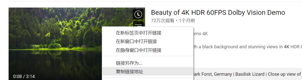 1.复制YouTube视频地址操作截图